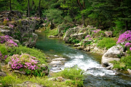 Landscapes 