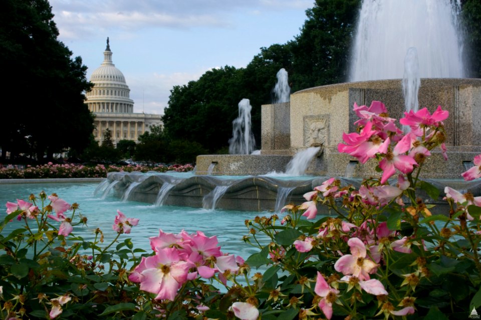 Washington, D.C. 