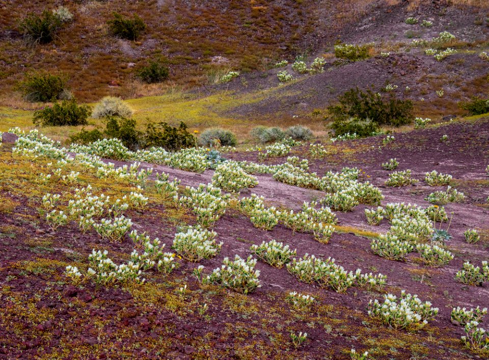 National Parks 