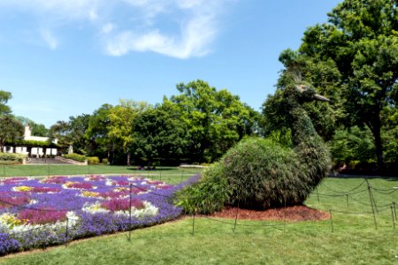 U.S. Botanical Gardens photo