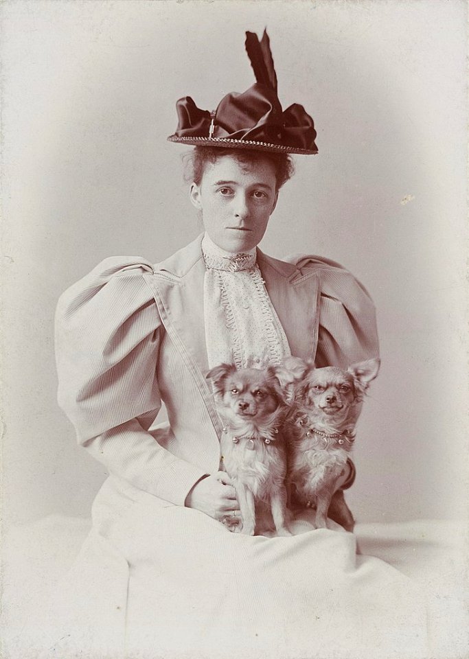 Women's History Month 