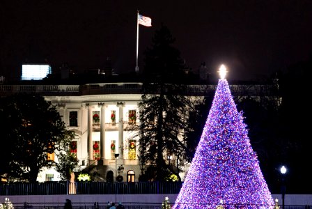 White House Christmas 2020 