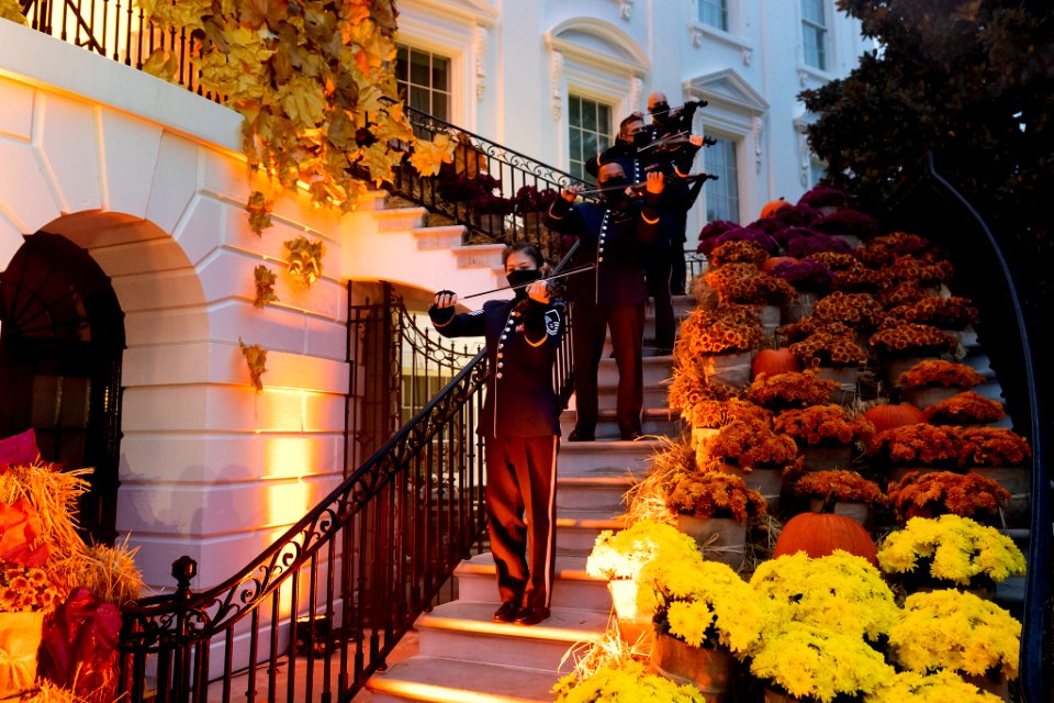 White House 