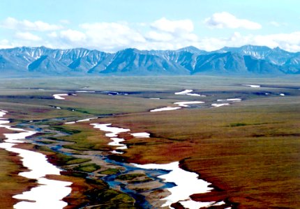 Landscapes 