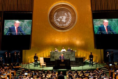 United Nations General Assembly 