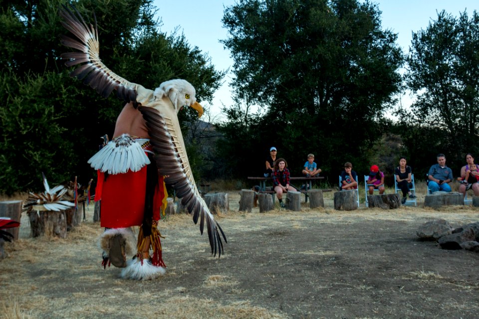 Native Americans 