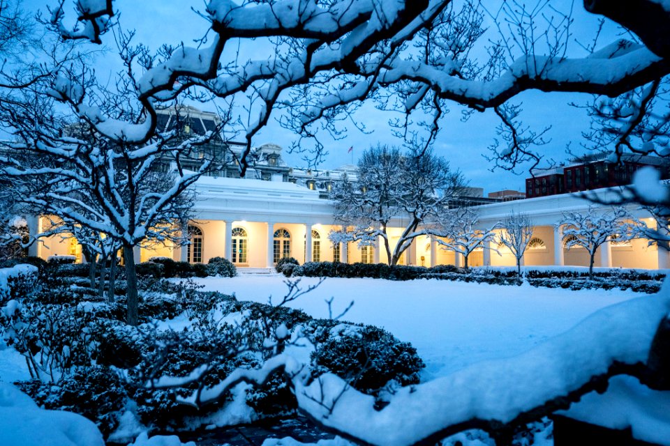 White House 