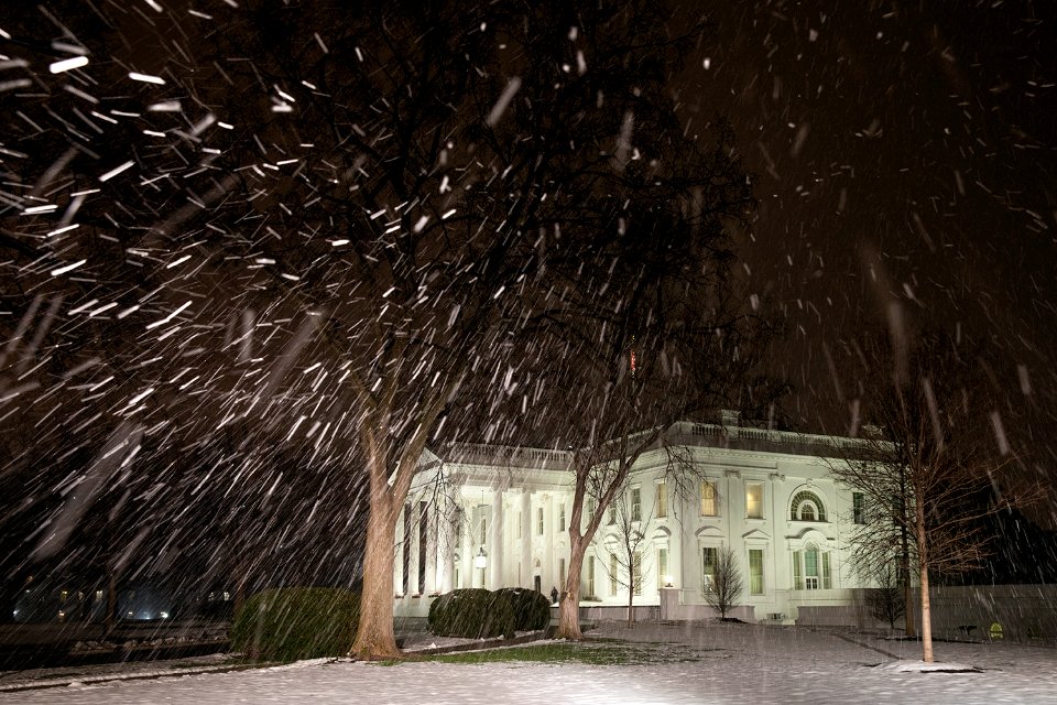 White House 