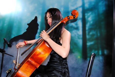 Music concert woman