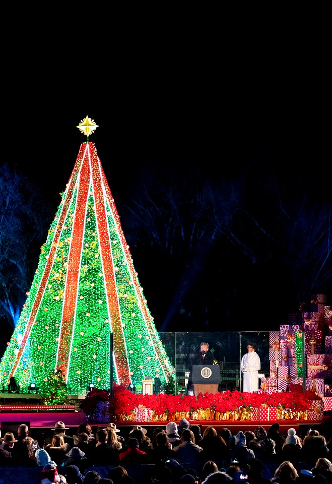 White House Christmas 