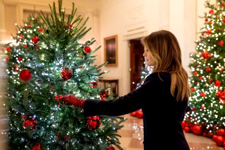 White House Christmas photo
