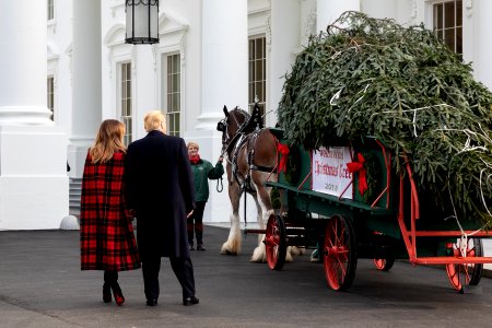 White House Christmas 