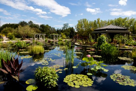 U.S. Botanical Gardens photo