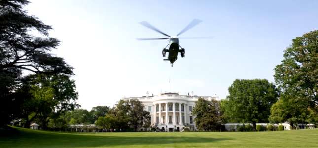 White House 