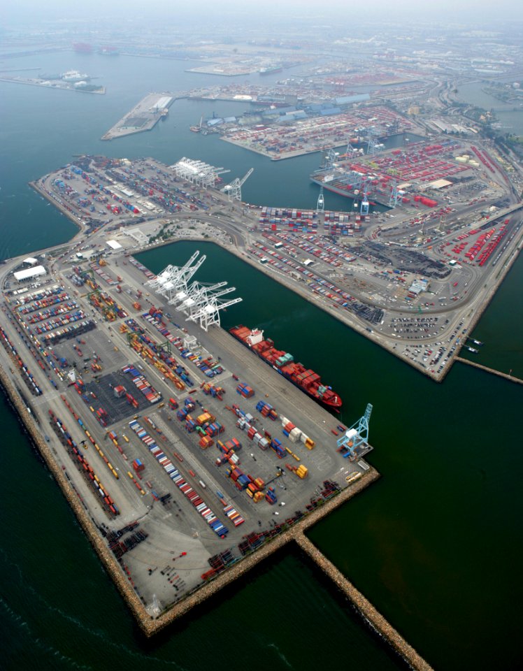 International Trade 