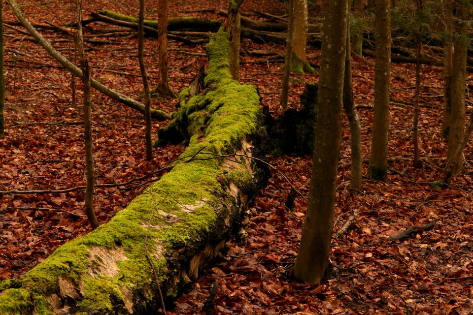 Overturned landscape green