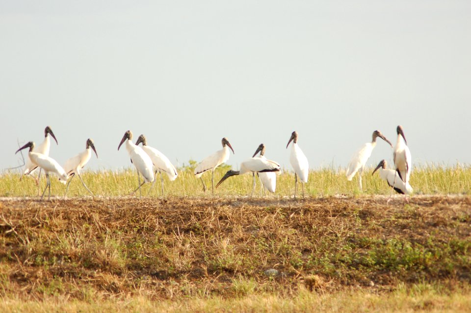 Everglades National Park 