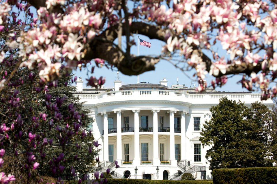 White House 