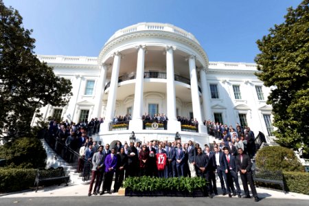 White House 