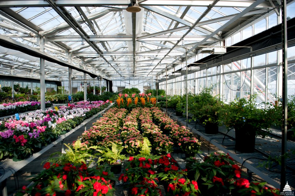 U.S. Botanical Gardens 