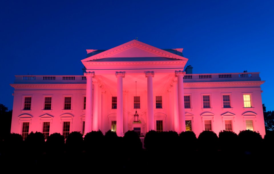White House 