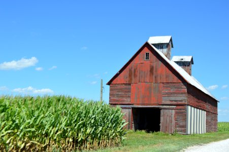 Cornfield and barn - Pine Township, Indiana photo