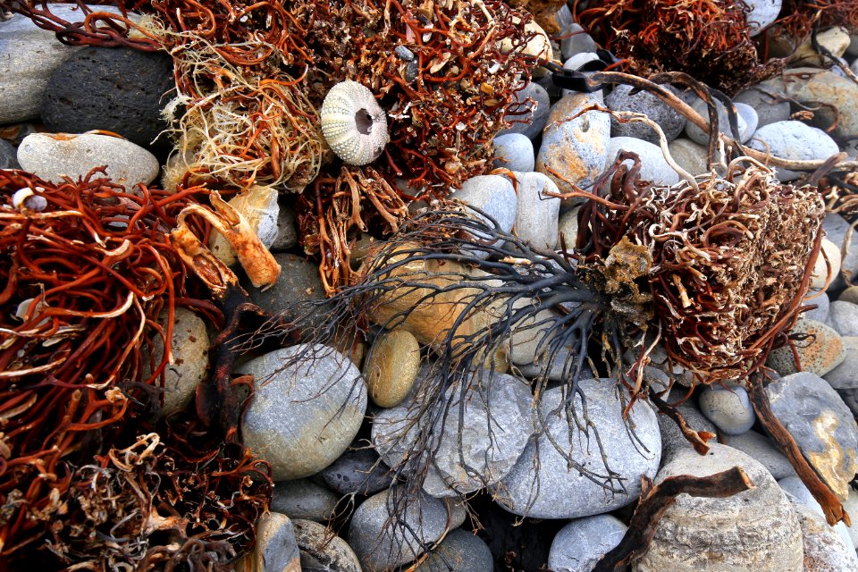 California Coastal National Monument photo