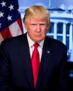 President Donald J. Trump photo