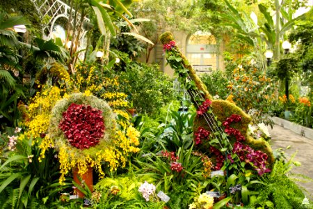 U.S. Botanic Gardens photo