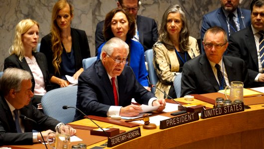 Secretary Rex Tillerson chairs U.N. Security Council meeti… photo