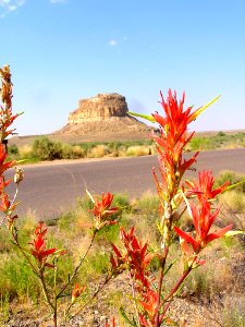 New Mexico 