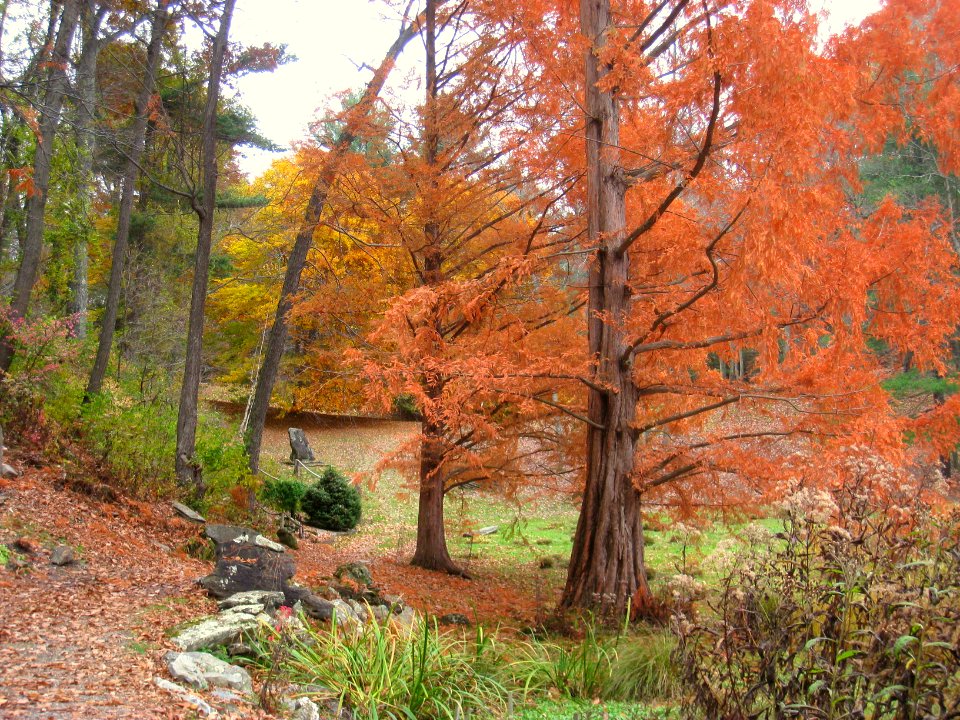 Innisfree Garden, Millbrook, New York 