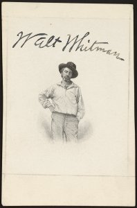 Walt Whitman, July 1854, New York photo