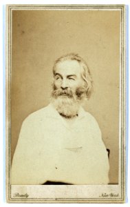 Walt Whitman by Mathew Brady, 1862. Carte de Visite, Char… photo