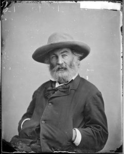 Whitman in Washington DC photo
