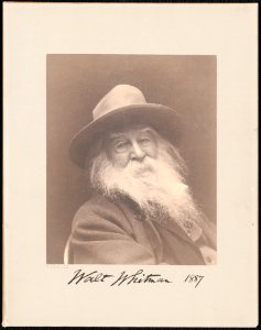 Walt Whitman 1887 photo