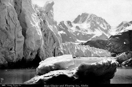 Muir Glacier 