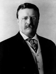 26 Theodore Roosevelt photo