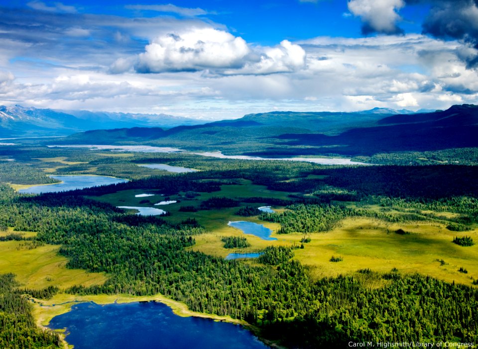 Alpine lakes and forest, Denali National Park, Alaska photo