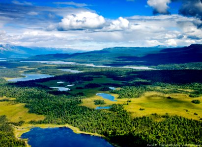 Alpine lakes and forest, Denali National Park, Alaska 