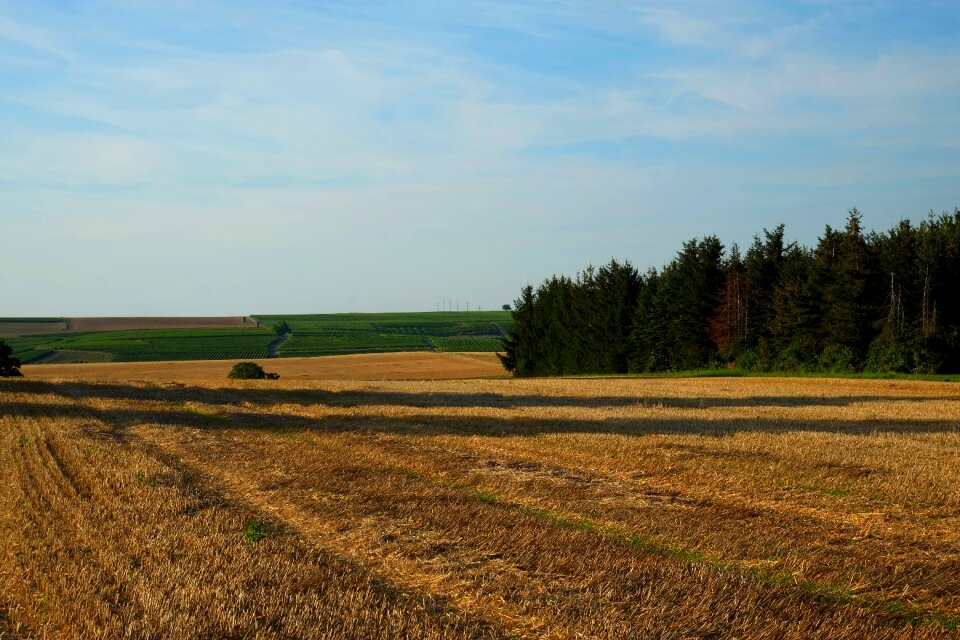 Fields arable germany