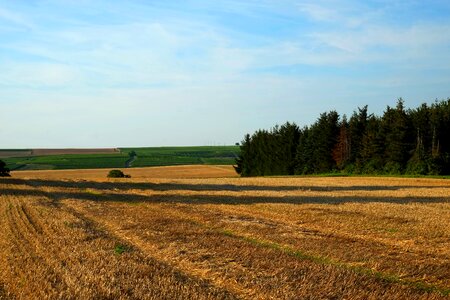 Fields arable germany photo