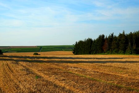 Fields arable germany