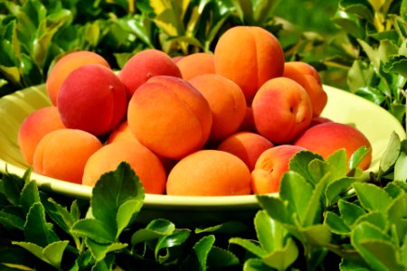 Fresh Peaches photo