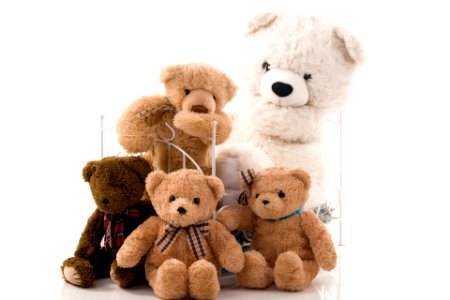Teddy bear family photo
