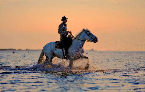 Horseback riding photo