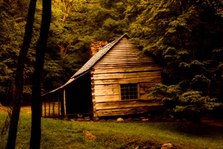 Log Cabin in forest photo
