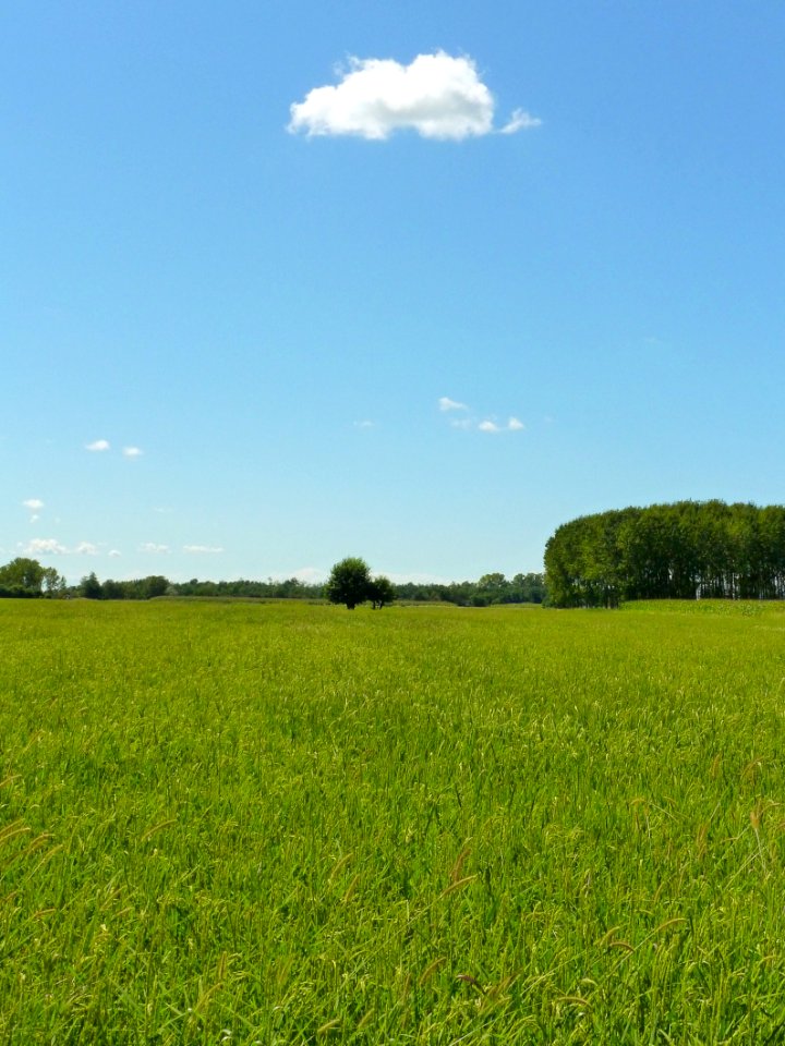 La magnifica campagna lombarda 