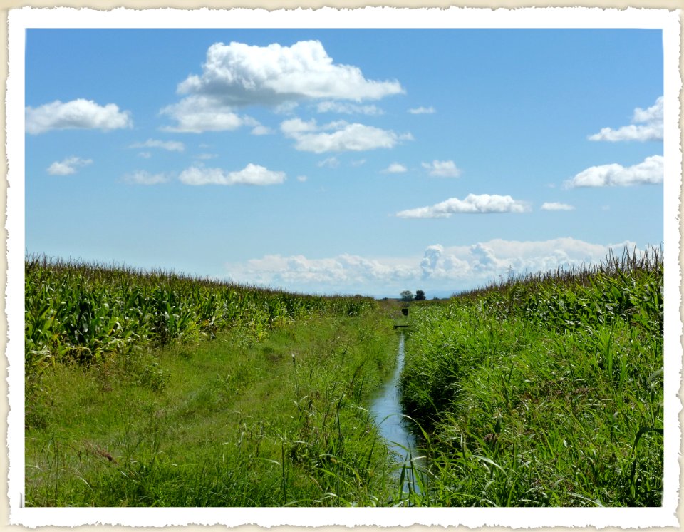La magnifica campagna lombarda 