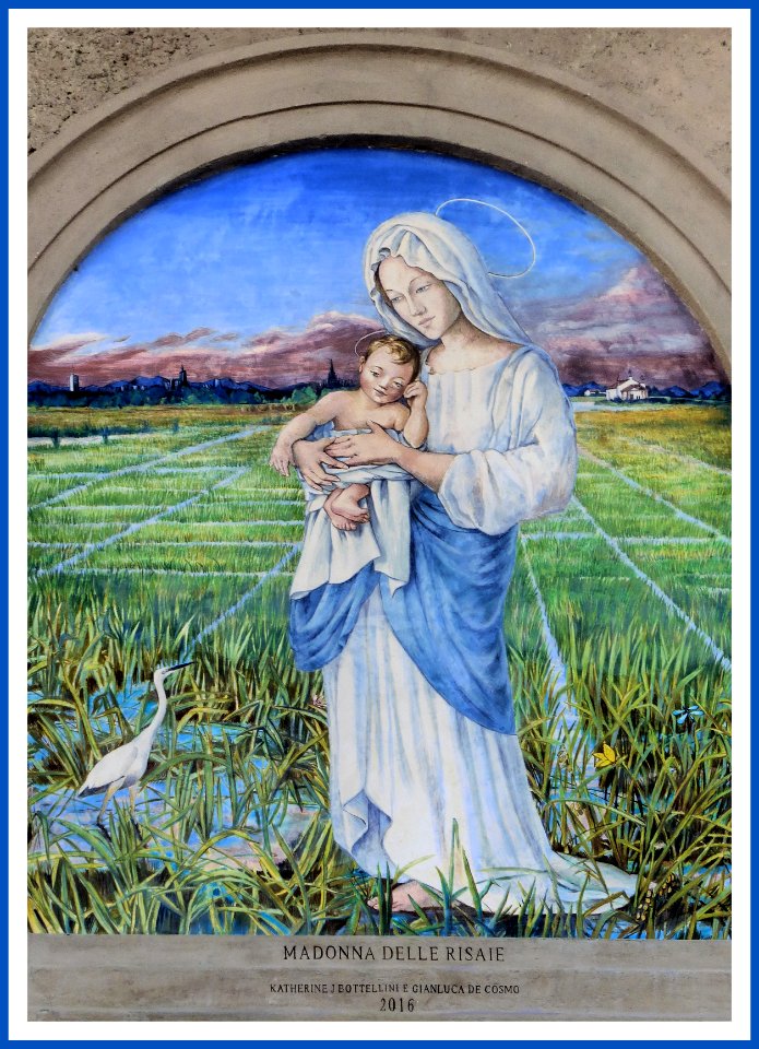MADONNA DELLE RISAIE 